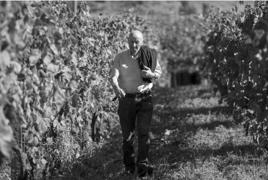 Azienda Sordi